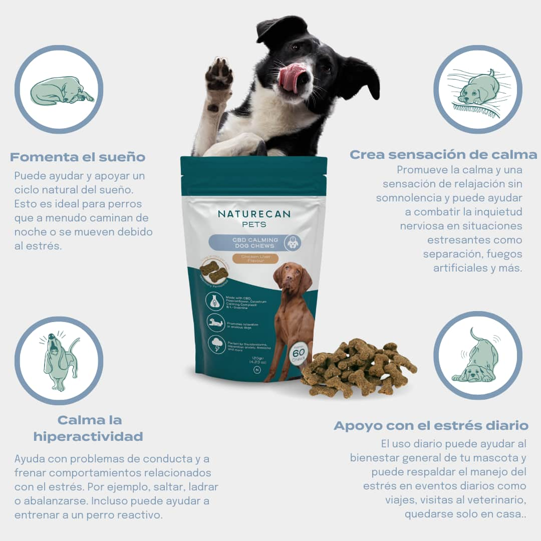 Chuches CBD relajantes para perros