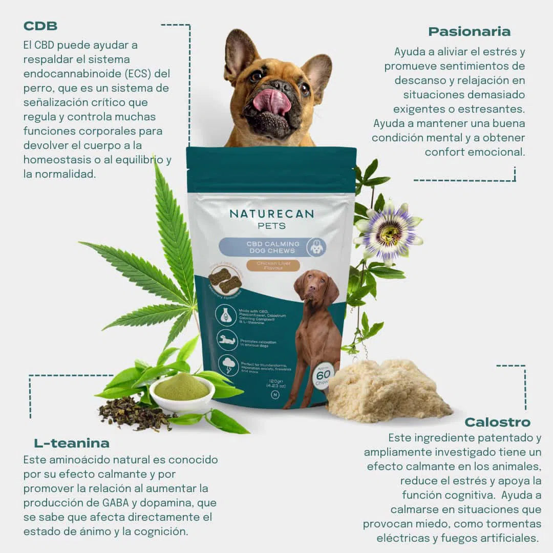 Ingredientes de las chuches de CBD relajantes para perros