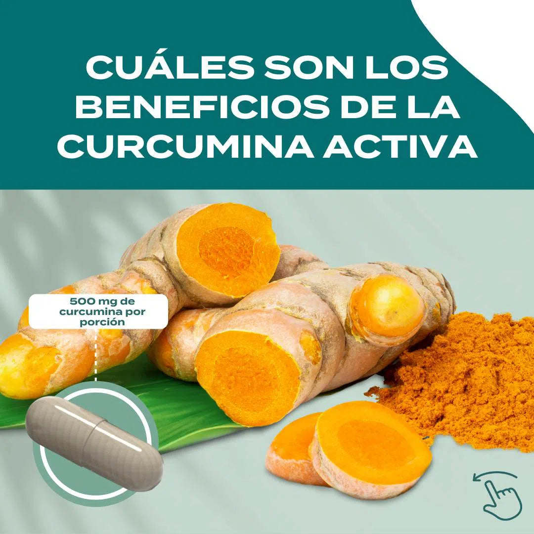 Curcumina Activa