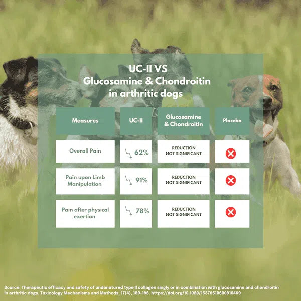 UC-II para perros con artritis