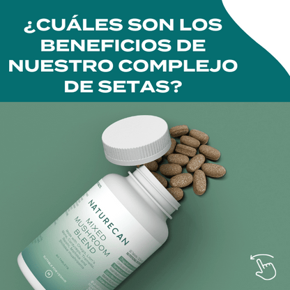 Complejo de setas con cordyceps, reishi y chaga