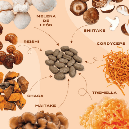 Complejo de setas con cordyceps, reishi y chaga