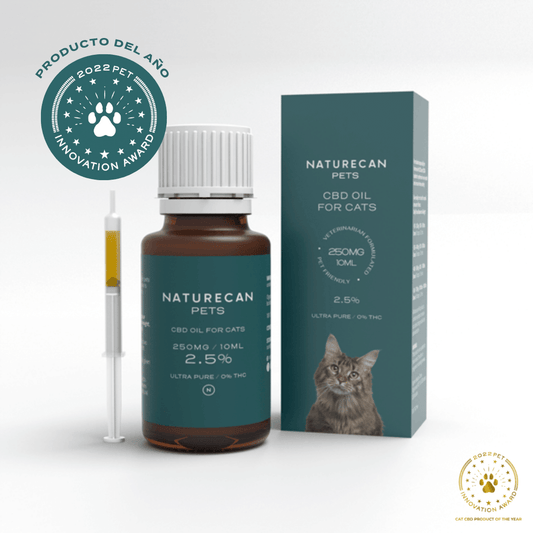 aceite cbd para gatos